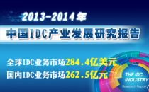 2013年全球IDC市场三大特点