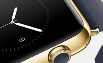 Apple Watch遭遇“iPad效应” 后劲明显不足
