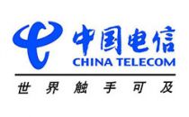 中国电信陈忠岳：全力做好电信普遍服务 加快贫困区通信网络建设
