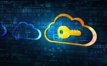 国内领先！山石云·格获得VMware Ready认证