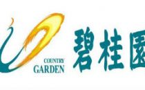 碧桂园创投加码布局新基建 领投数据中心龙头企业“秦淮数据集团”