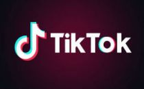 TikTok在巴基斯坦遭封杀 因未遵从审核不雅内容的指示