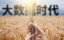 潍坊国家农综区大数据中心启动仪式举行