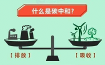 全国人大代表万新恒：建议加大政策措施力度 实现碳达峰碳中和