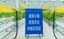 移动云：给乡村振兴装上“数字引擎”！