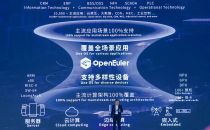 倪光南院士：为RISC-V生态建设贡献中国方案 