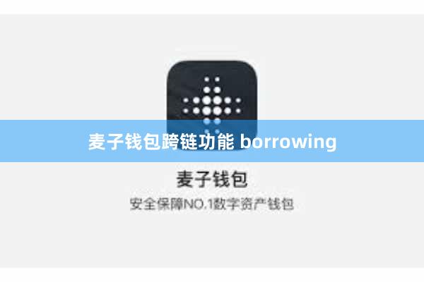 麦子钱包跨链功能 borrowing