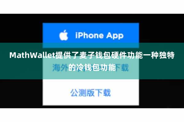 MathWallet提供了麦子钱包硬件功能一种独特的冷钱包功能