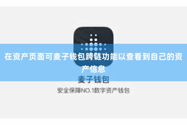 在资产页面可麦子钱包跨链功能以查看到自己的资产信息
