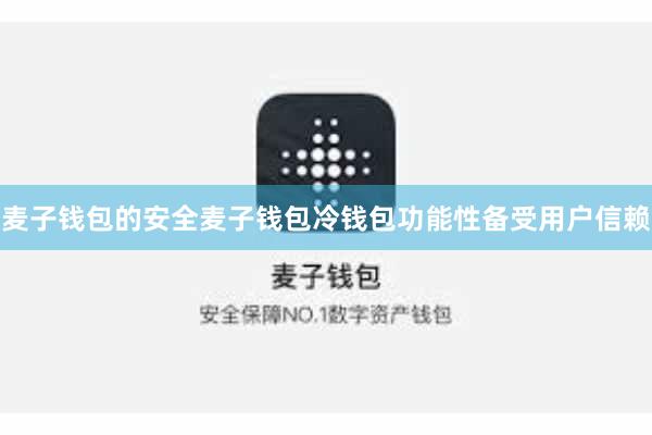 麦子钱包的安全麦子钱包冷钱包功能性备受用户信赖