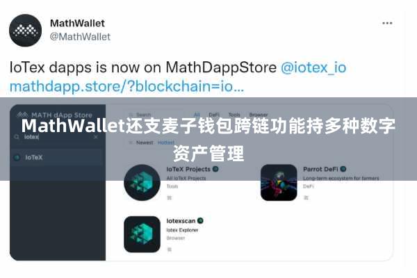 MathWallet还支麦子钱包跨链功能持多种数字资产管理